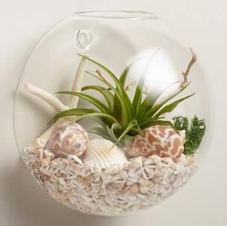 Glass Wall Hanging Dome