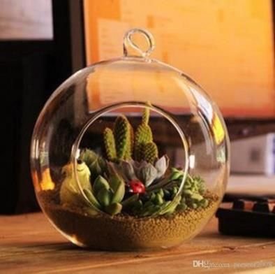 Borosil Glass Hanging Vase