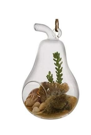 Borosil Glass Hanging Vase