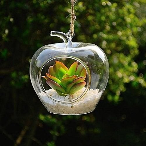 Borosil Glass Hanging Vase